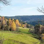 Buehler * Schramberg