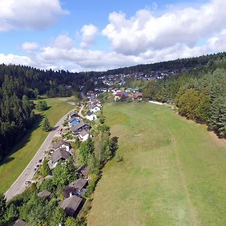 Buehler Daire Schramberg