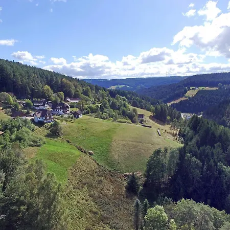 Buehler Schramberg